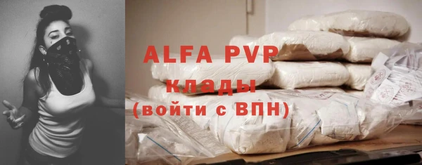 сатива Киров