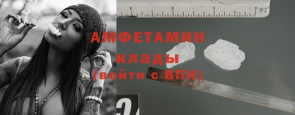 сатива Киров
