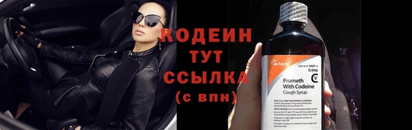 сатива Киров