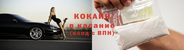 сатива Киров