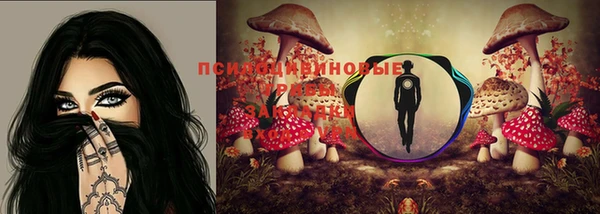 сатива Киров