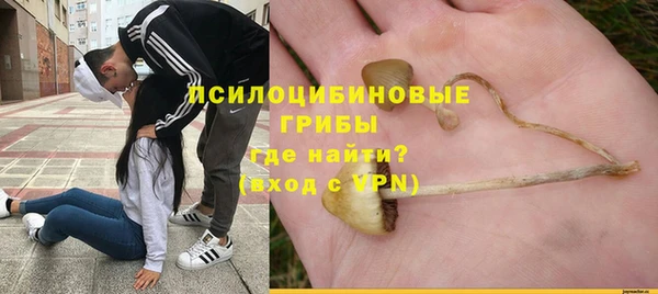 сатива Киров