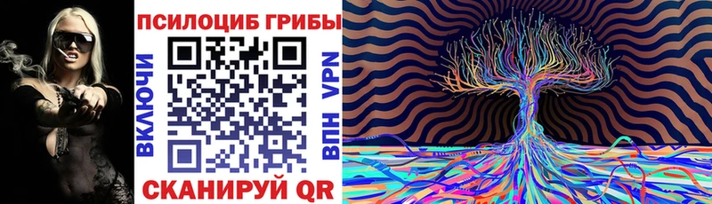 Купить  Азнакаево  Галлюциногенные грибы Psilocybine cubensis 